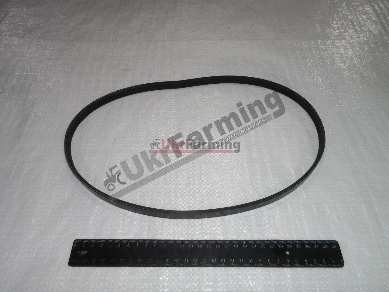 Пас CASE компресора конд. Puma 210 14.04mm W x 968.00mm L, 4 Ribs (вир-во CNHI)