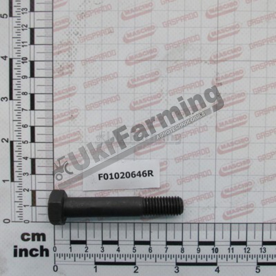 Болт Gaspardo 12*70 12.9 (вир-во Maschio Gaspardo)