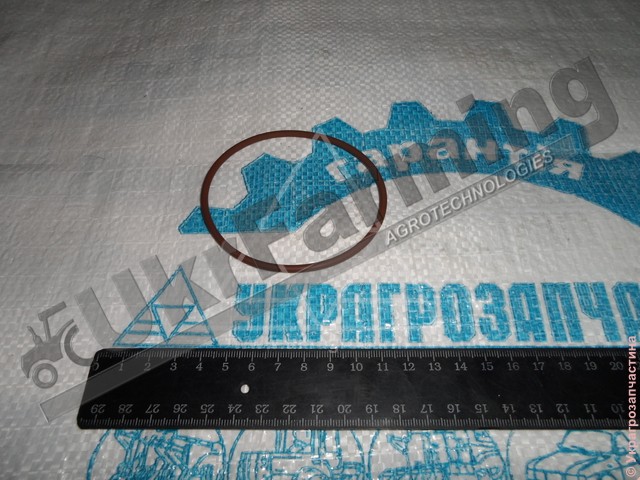 Прокладка CASE (вир-во CNHI) 14465381. 17290783
