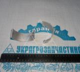 К-кт CASE (2 шт) вкладиш. шат. СТ, MGM310 (вир-во CNHI)