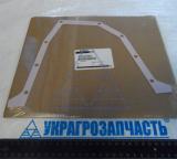 Прокладка CASE задньої кришки MGM310 (J914301->87447962) (вир-во CNHI)