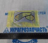 Прокладка CASE MGM310 (вир-во CNHI)