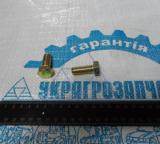Болт CASE (вир-во CNHI)